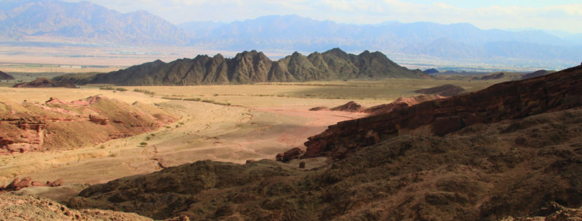Negev Desert