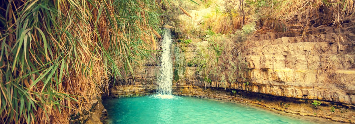 David's waterfall in Ein Gedi Nature Reserve