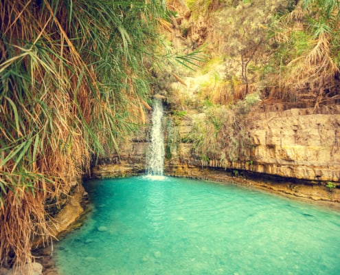 David's waterfall in Ein Gedi Nature Reserve