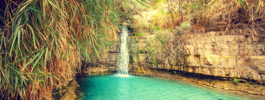 David's waterfall in Ein Gedi Nature Reserve
